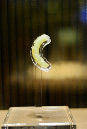 �̴����渾��Ĺ ����μ�