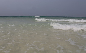 ɳ̲�ϵĺ���