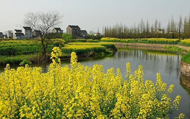 С�ӱߵ��Ͳ˻�