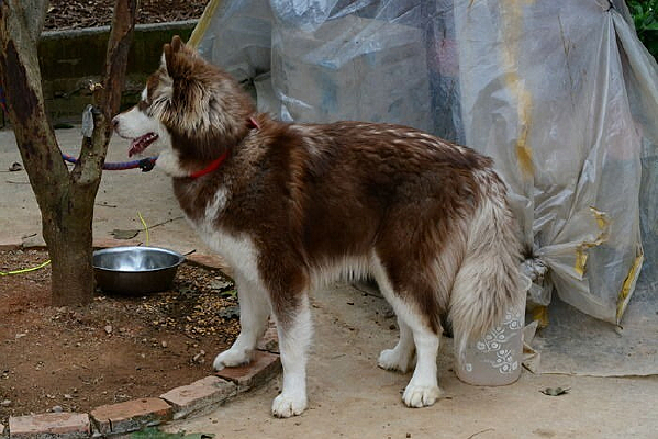 ����Ȯ���ﹷ