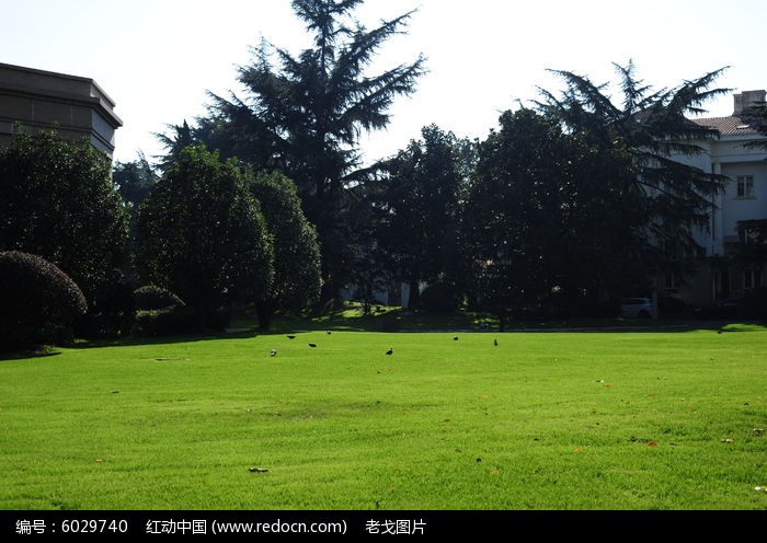 �����̷�ͼƬ