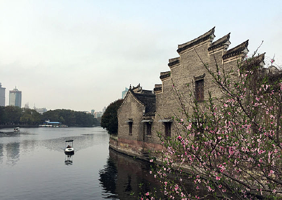 ����һ��