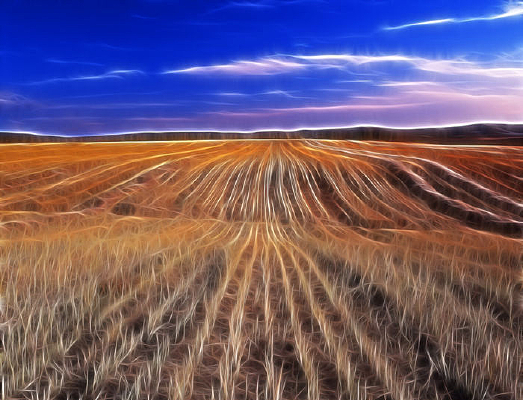 ���Գ��󻭡��＾��Ұ��