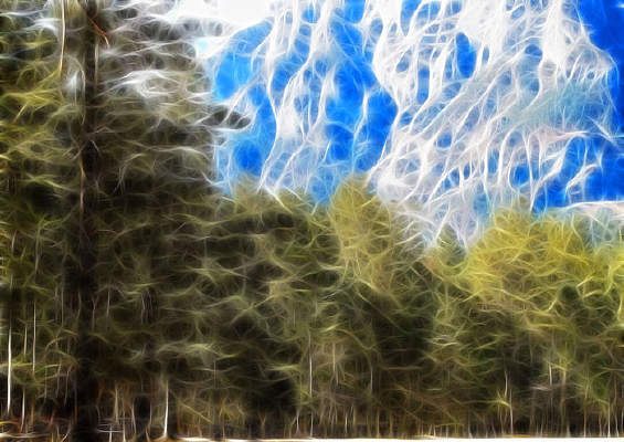 ���Ի���ѩɽɭ�֡�