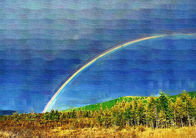 �����ͻ������ֲʺ硷