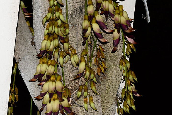 ��ȸ����