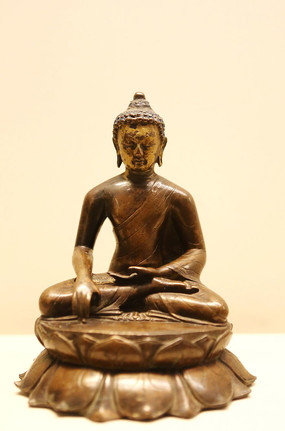 ���ͭ����Ĳ��������