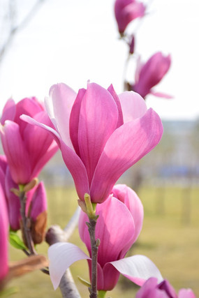 ŭ�ŵ�����