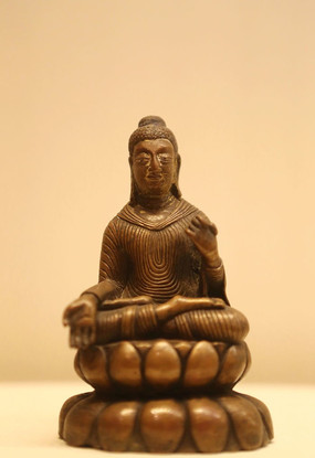 ������ͭ����Ĳ��������