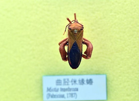 �����zԵ��