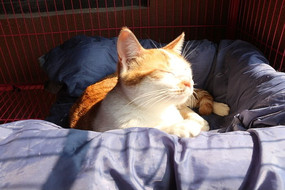 ���е�����