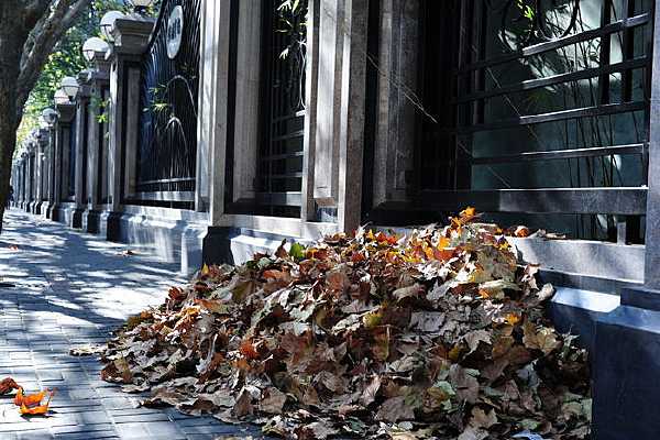 �����Ϻ�