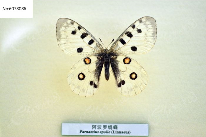 �����޾��ͼƬ