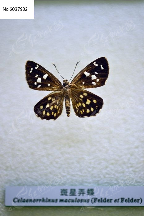 ����Ū��ͼƬ