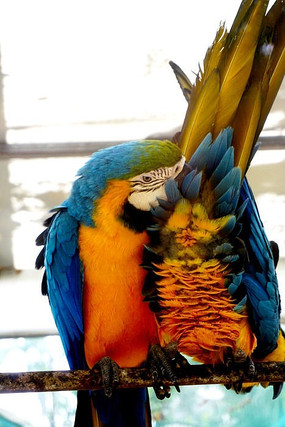 �߲�����