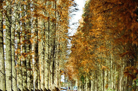 �β�����ˮɼ��