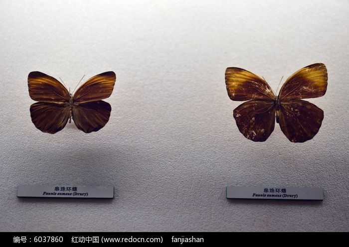 ���黷��ͼƬ