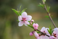 ���ŵ��һ�