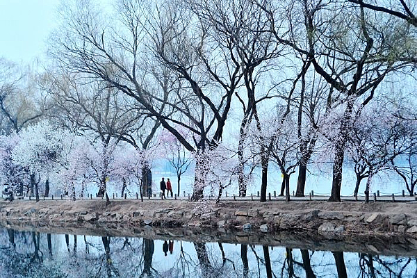 �����Ĵ���