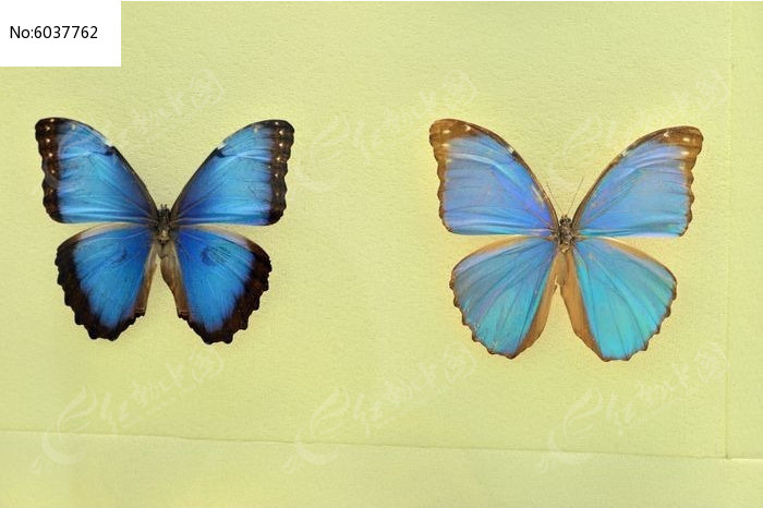 ��̫�������ʹ�½����ͼƬ