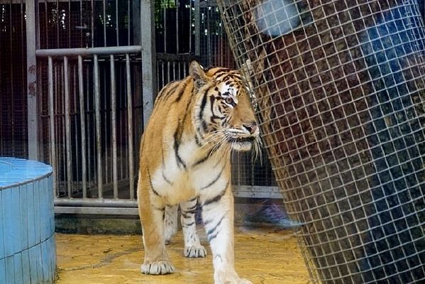 �ϻ�����