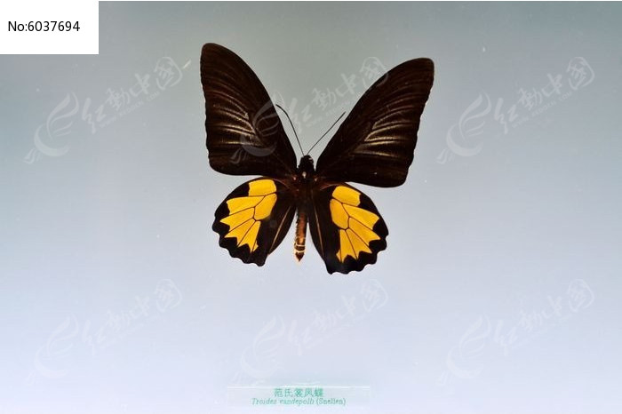 �����ѷ��ͼƬ