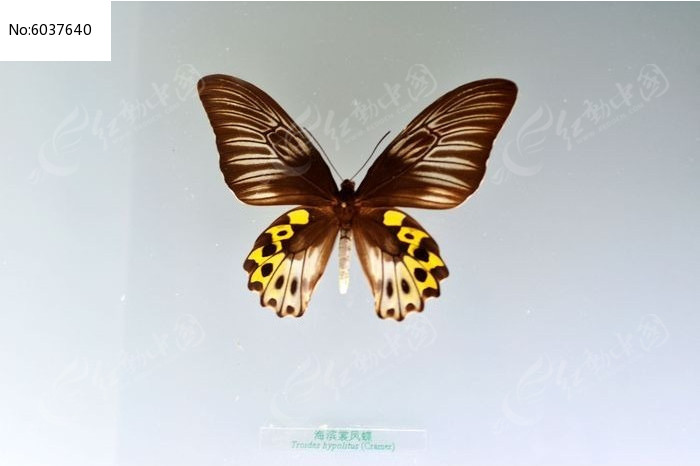 �����ѵ�ͼƬ