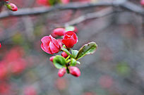 �������Ļ�