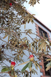 �����Ķž黨