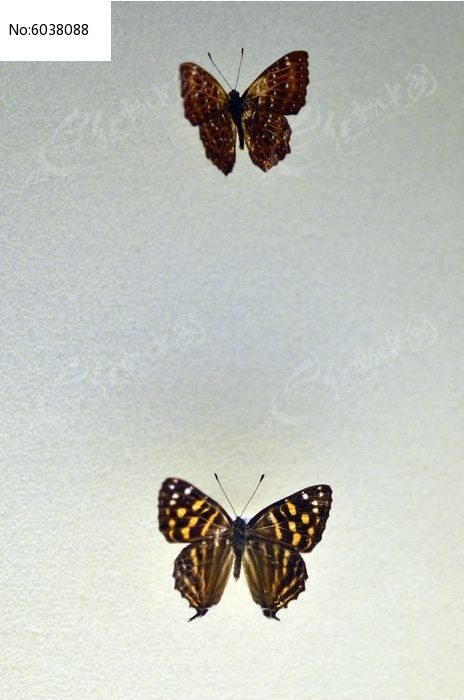 �����ҵ����ϣ��������ϻҵ����£�ͼƬ