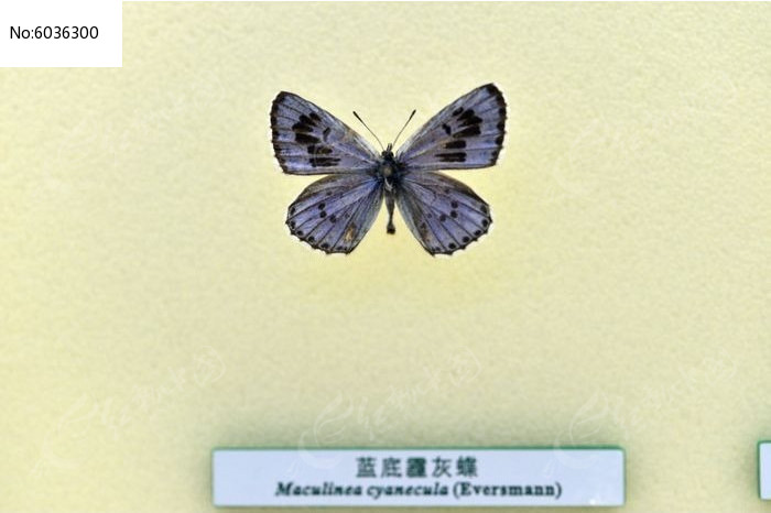 �������ҵ�ͼƬ