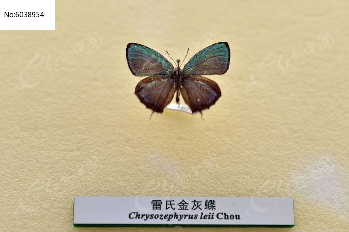 ���Ͻ�ҵ�ͼƬ