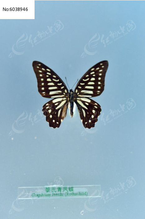 ��������ͼƬ