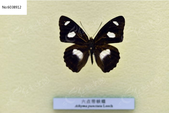 ������̵�ͼƬ