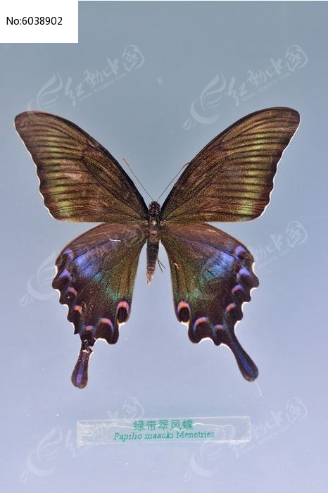 �̴����ͼƬ