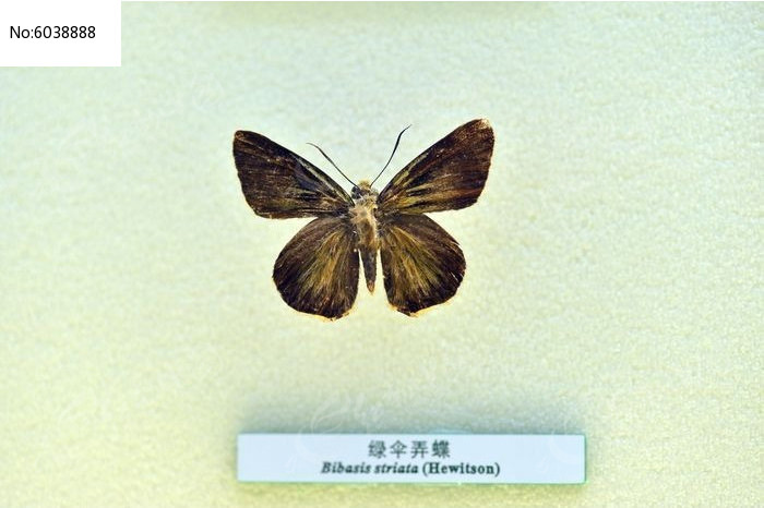 ��ɡŪ��ͼƬ