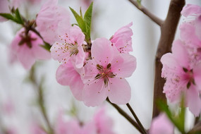 ��ѿ���һ�