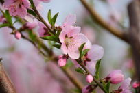 �����һ�