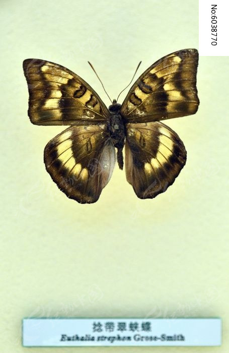 �������̵�ͼƬ