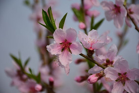 �һ�����