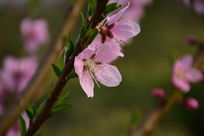 �һ�����д