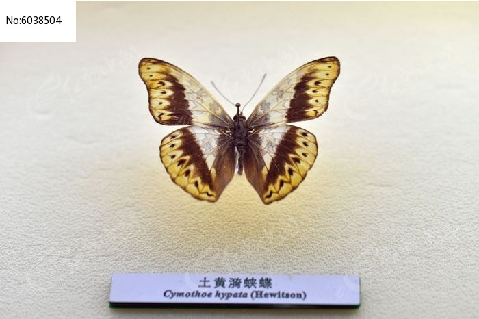 �������̵�ͼƬ