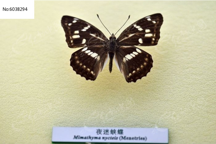 ҹ���̵�ͼƬ