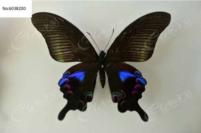 խ�ߴ���ͼƬ