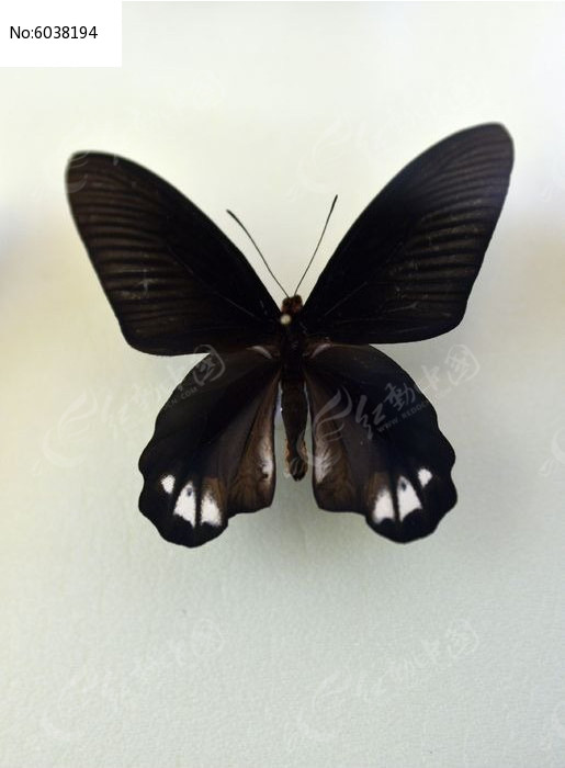 խ������ͼƬ