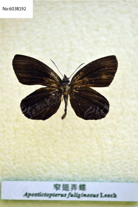 խ��Ū��ͼƬ