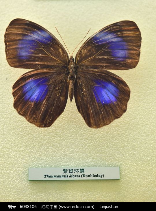 �ϰ߻���ͼƬ