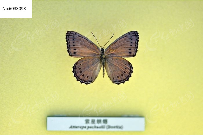 �ϻ��̵�ͼƬ