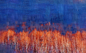 �����ͻ����ֺ����֡�