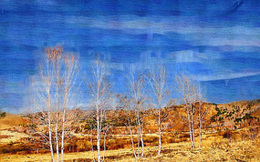 �����ͻ���ԭҰ������